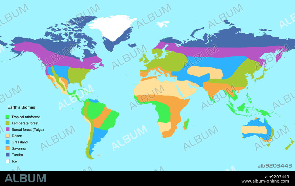 Map of Earth's major global biomes, including tropical rainforest, temperate forest, boreal forest (taiga), desert, grassland, savanna, tundra, and ice. Terrestrial biomes (also called ecosystems) are geographic land areas with similar climatic conditions, often characterized by the plants and animals found there. Eight biomes are shown here, though more complex classifications subdivide these biomes even further.