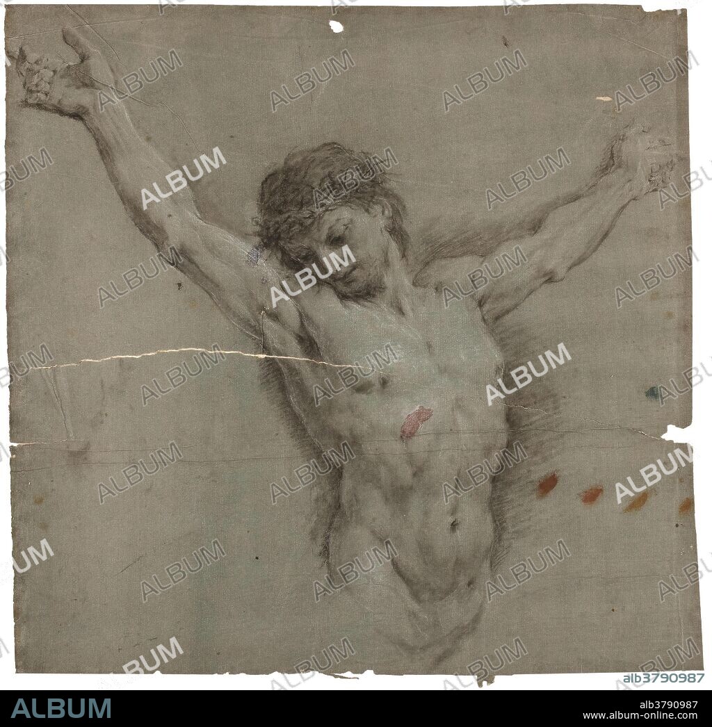 Aureliano Milani (Atribuido a) / 'Cristo crucificado'. Primera mitad del siglo XVIII. Carboncillo, Clarión sobre papel agrisado, 340 x 345 mm.