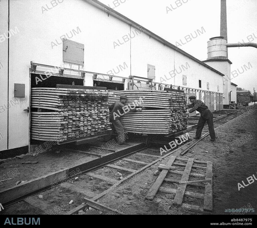 LINDESBERG 1941-01-01. Ämnen till skidor tas om hand i Bröderna Sandströms skidfabrik . Foto: TT Historical / Kod 1902.