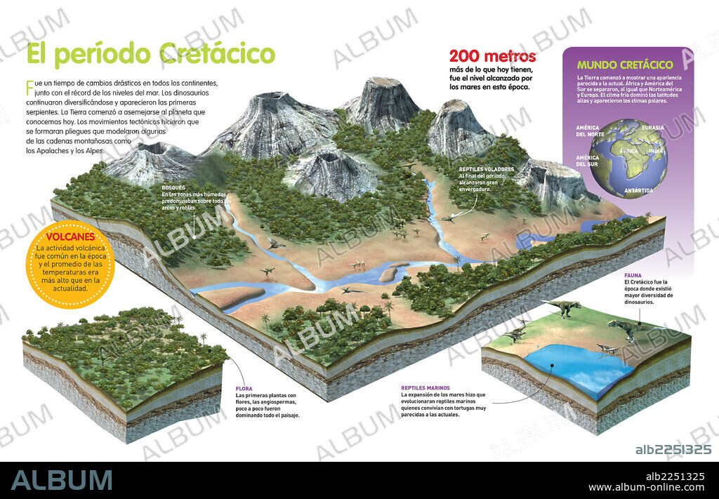 El período Cretácico. Infografía sobre el período Cretácico, último período de la era Mesozoica, su fauna, flora y cambio del terreno debido a los movimientos tectónicos.