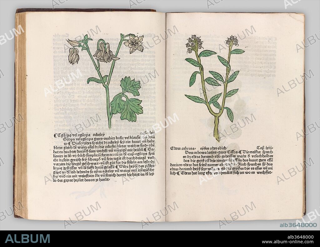 Herbarius - Gart der gesuntheit - Hortus sanitatis. Dimensions: 12 3/8 x 8 1/4 x 3 7/16 in.  (31.5 x 21 x 8.8 cm). Published in: Augsburg. Publisher: Hans Schönsperger the Elder (German, active Augsburg 1481-1520). Date: 1485.