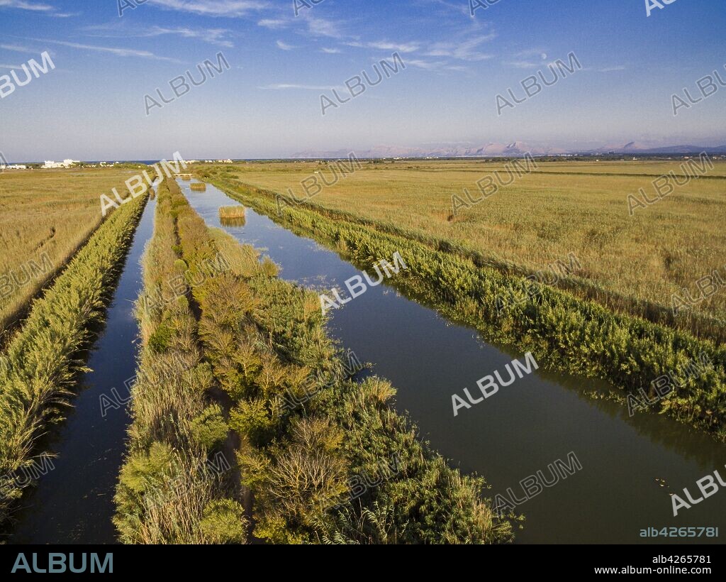 canal des Sol, Parque natural s'Albufera de Mallorca, términos municipales de Muro y sa Pobla. Mallorca, balearic islands, spain, europe.