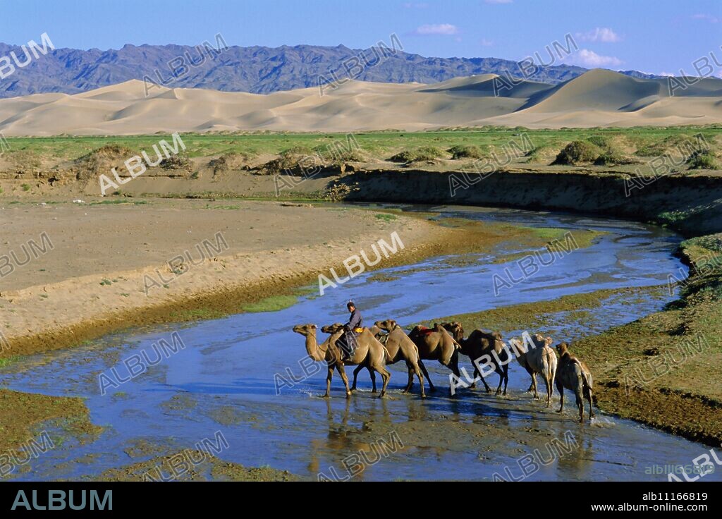 Camel caravan, Khongoryn Els dune, Gobi Desert National Park, Omnogov, Mongolia.