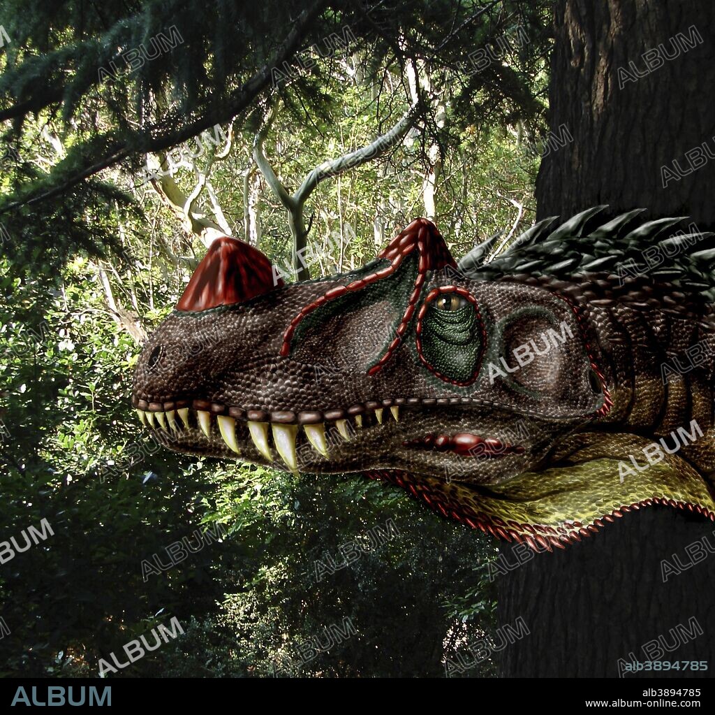 Ceratosaurus magnicornis of the Late Jurassic Period.