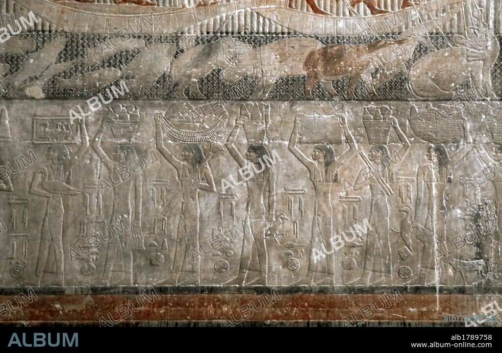 ARTE EGIPCIO. EGIPTO. Relieves policromados del interior de la MASTABA DE TI. Importante personaje de la corte de finales V DINASTIA. IMPERIO ANTIGUO. Escenas de ESCLAVAS PORTADORAS DE PRESENTES. NECROPOLIS DE SAKKARA.
