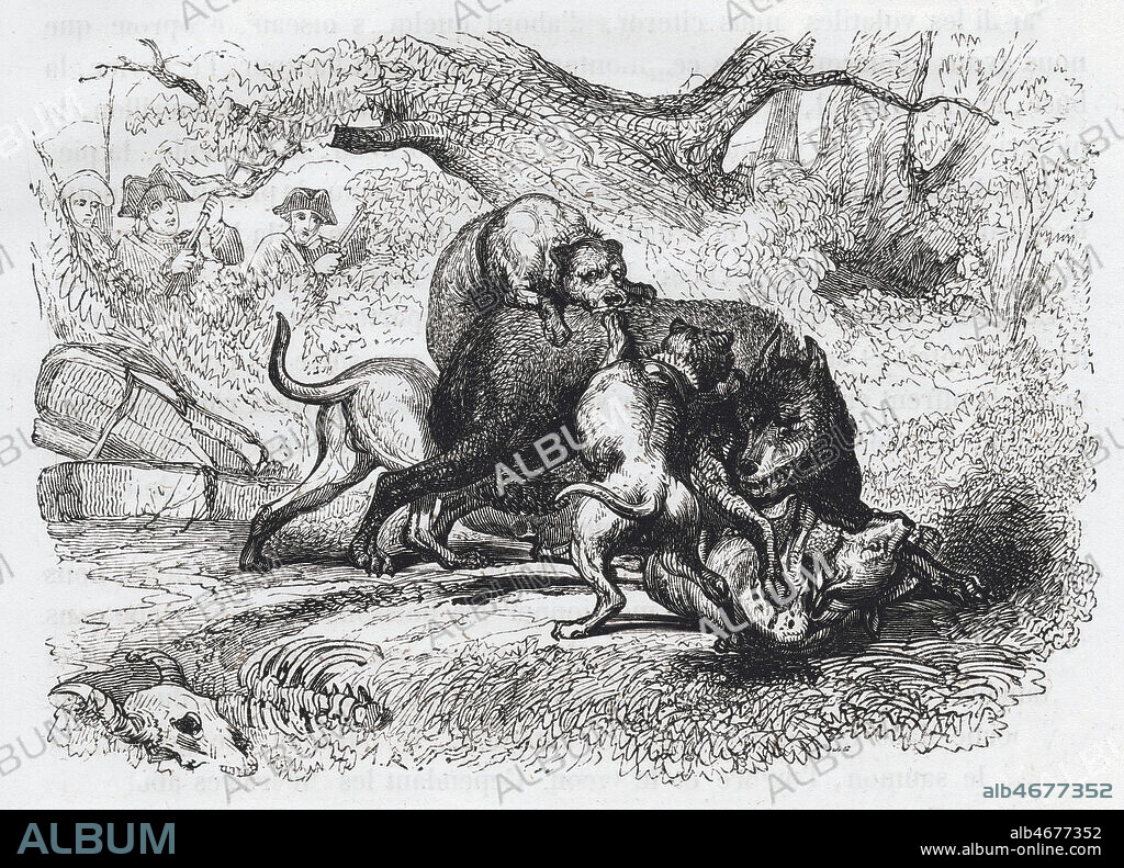 Fin de la Hyene de Gevaudan. Illustration de 1841 pour La Loire historique de Georges TOUCHARD-LAFOSSE (1780-1847). Credit : Collection Jonas/Kharbine-Tapabor.