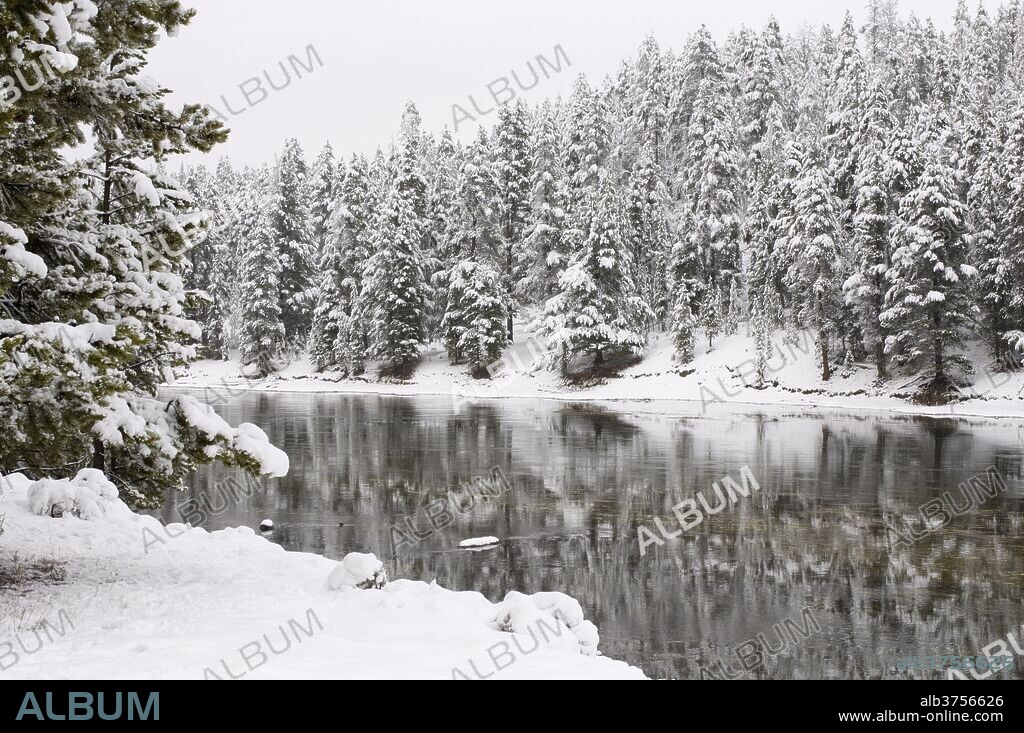 Yellowstone River, Yellowstone National Park, UNESCO World Heritage Site, Wyoming, United States of America, North America.