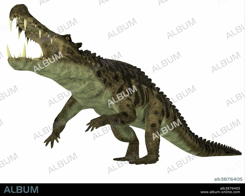 Kaprosuchus was a marine reptile that lived in rivers and swamps of the Cretaceous Period.