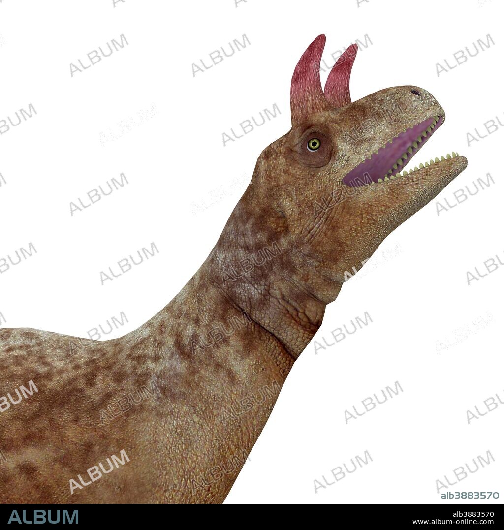 Shringasaurus dinosaur head. Shringasaurus was a herbivorous sauropod dinosaur that lived in India in the Triassic Period.