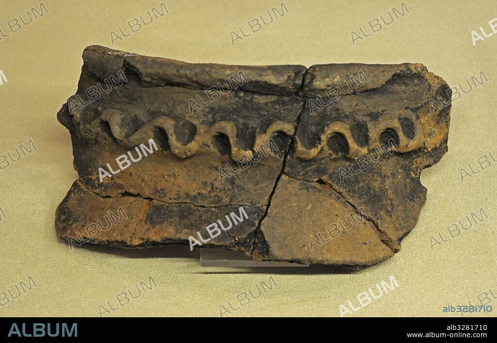 Polonia. Prehistoria. Neolítico. Fragmento de un vaso de cerámica decorado. Exposición temporal "La Solución de cazadores Fok desde la Edad de Piedra en el Golfo de Puck" (marzo-junio de 2015). Museo Arqueológico. Gdansk. Polonia.