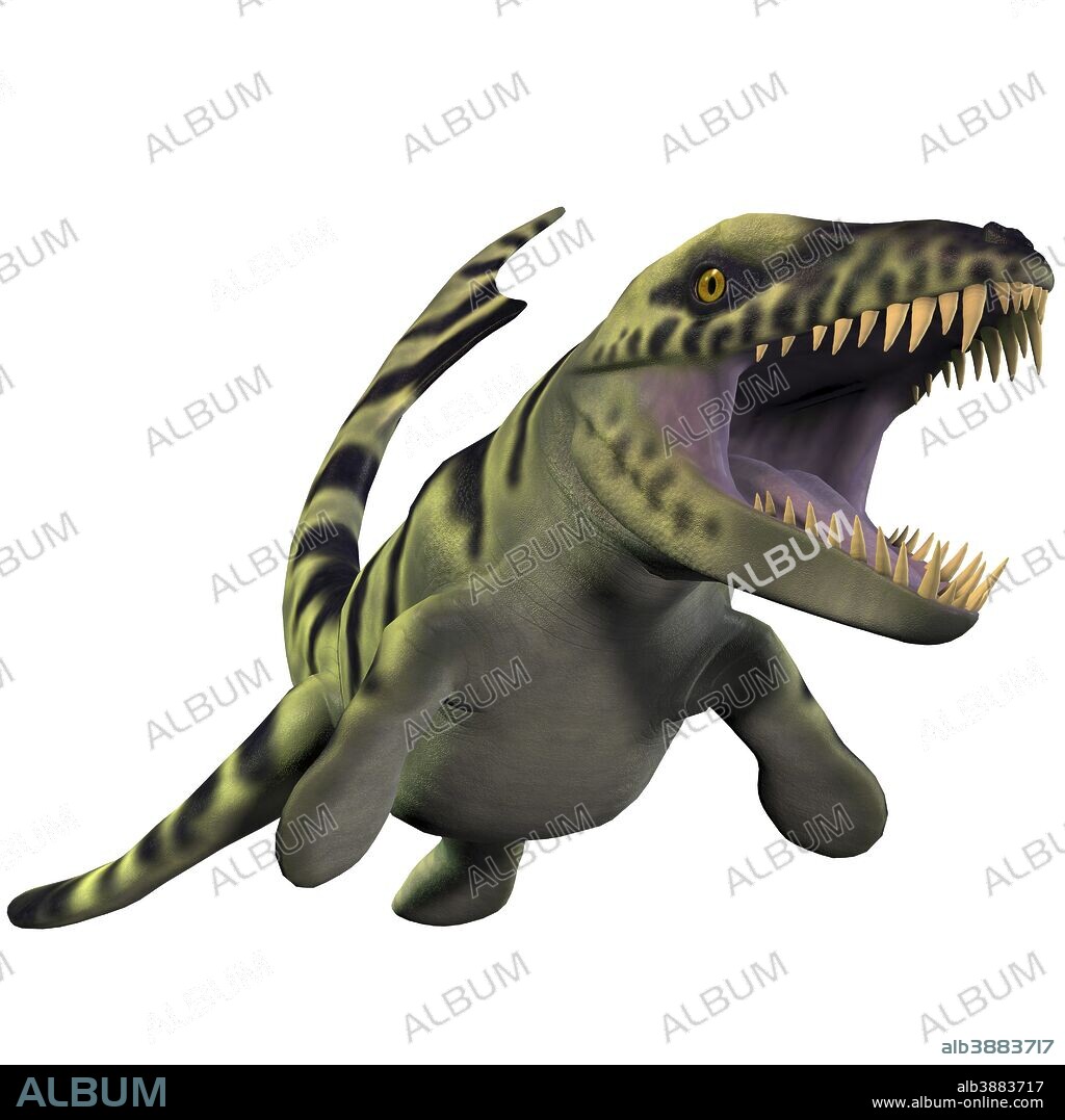Dakosaurus was discovered in Argentina and lived during the Late Jurassic to Early Cretaceous Period. It is unique among the family of marine crocodylians with its short snout (which is why it was nicknamed Godzilla).