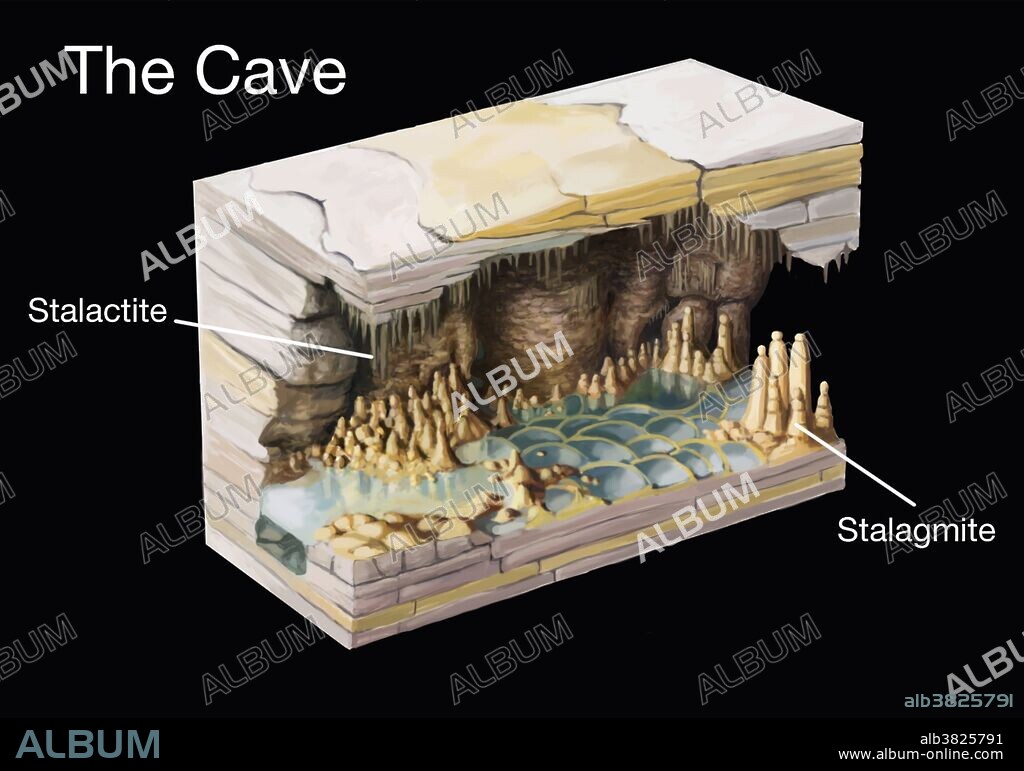 Illustration of stalactites and stalagmites in a cave. Stalactites and stalagmites are secondary cave formations that form when dissolved calcium minerals are precipitated out of solution. Stalactites form from drips of groundwater on the ceiling of caves. Stalagmites form on the floor, usually beneath stalactites. Over time, the two may join.