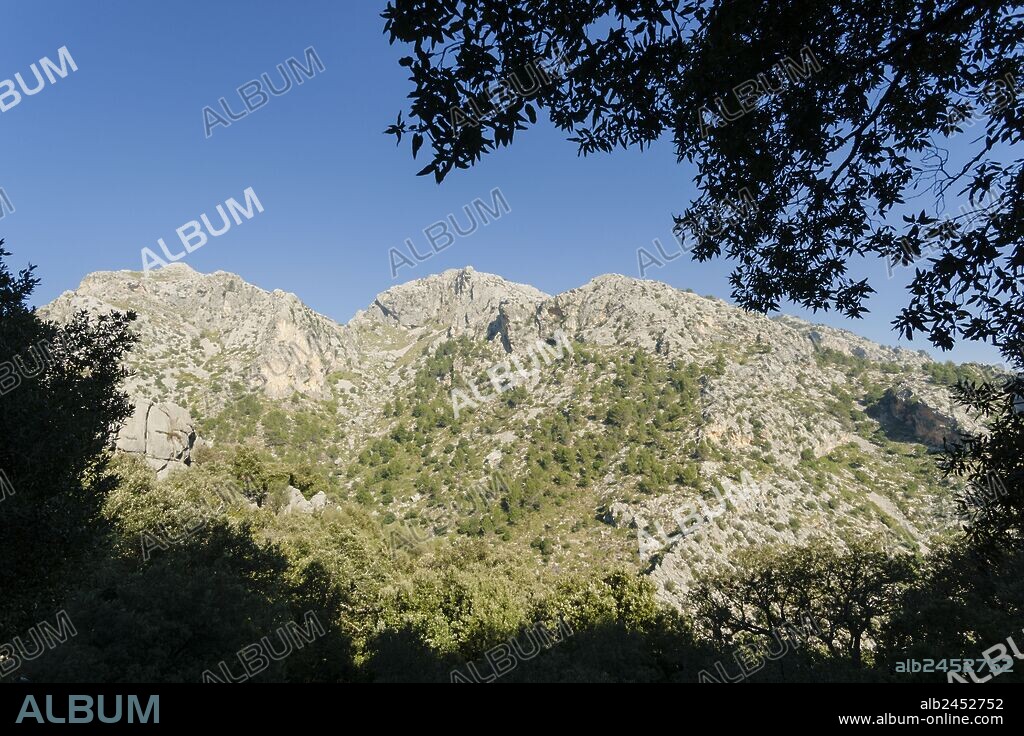 Puig De sa Font 1071 metros, sierra de Tramuntana, mallorca, islas baleares, españa, europa.