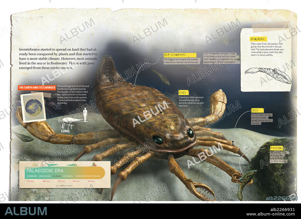 Período Siluriano. Infografía sobre el período Silúrico, de la era Paleozoica, durante el cuál los invertebrados empezaron la conquista del medio terrestre y aparecieron los peces sin mandíbula.