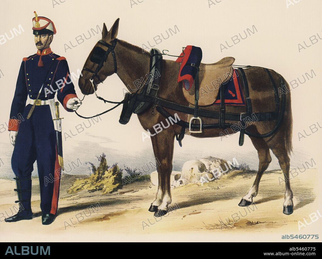 España. Artillería española. Uniformes. Regimientos montados. Conductor de gala y mula con atalaje de gala. Grabado de 1862.