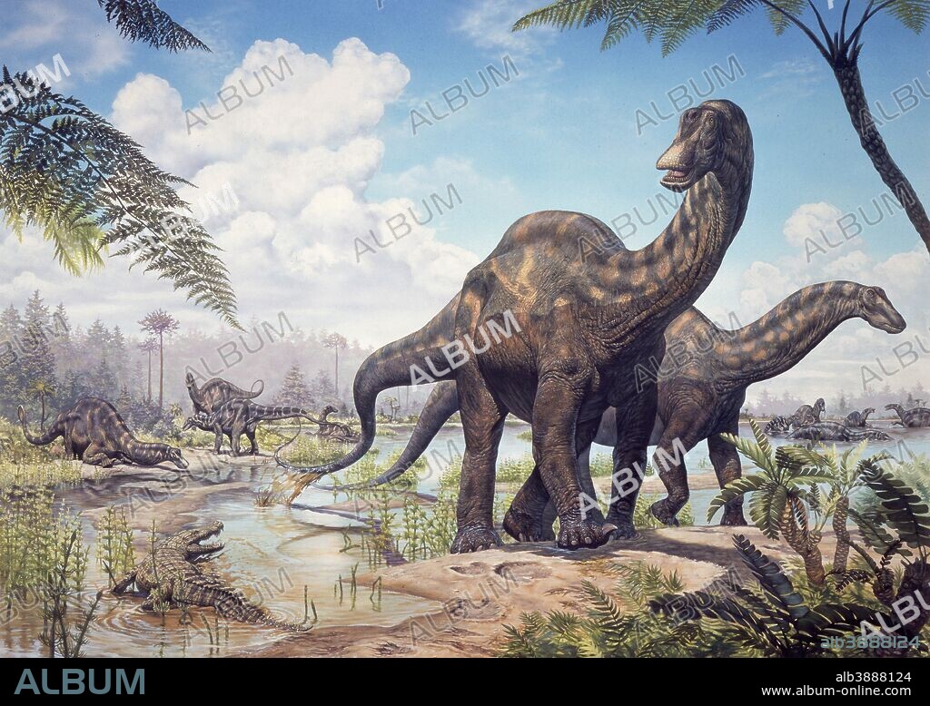 Large Dicraeosaurus sauropods from the Late Cretaceous of Africa.