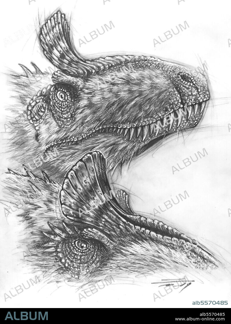 Graphite sketch of feathered Cryolophosaurus ellioti couple.
