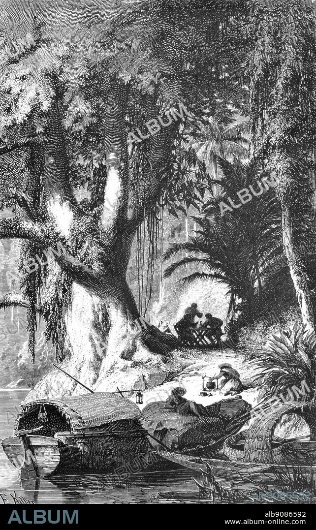 In March 1800, Humboldt and Bonpland set off down the Rio Apure for the unknown region of the Upper Orinoco. At night they camped on the banks of the river.