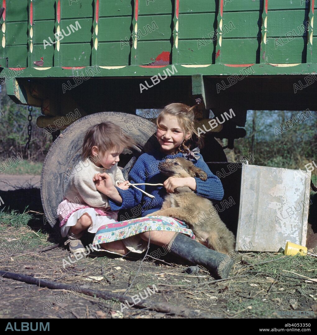 Two young gipsy girls playing with a dog, Charlwood, Newdigate area, Surrey, 1964. Members of the Vincent family.
