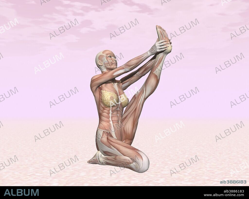 Female musculature performing heron yoga pose, pink background.