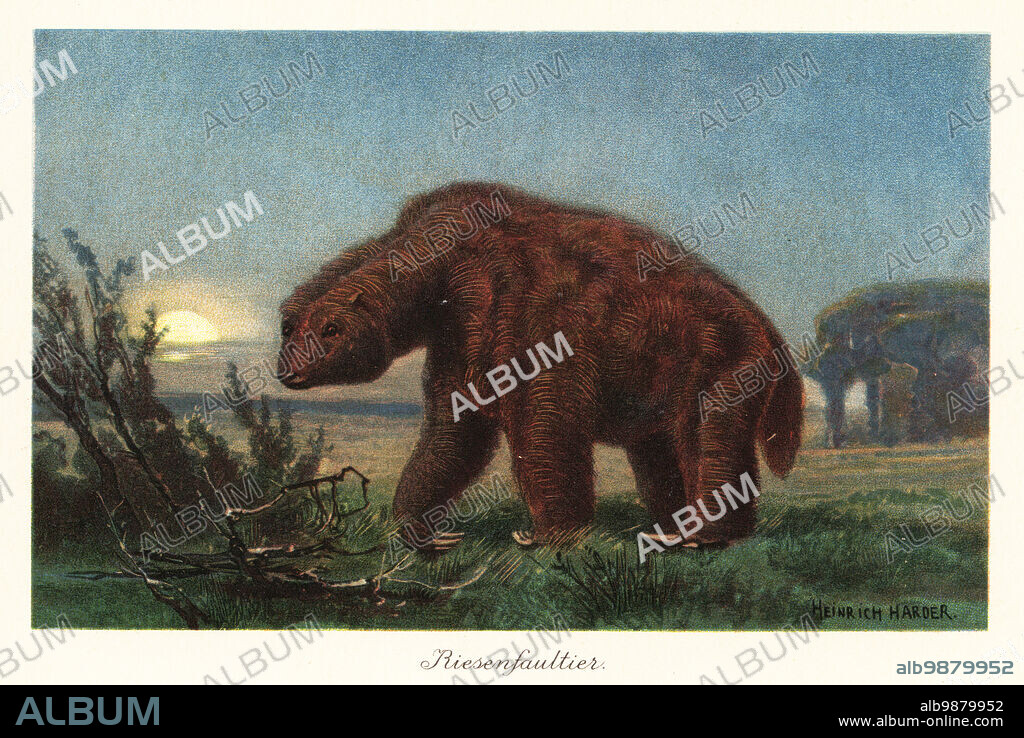 Megatherium americanum (Great Beast) in the moonlight. Megatherium is an extinct genus of elephant-sized ground sloths native to America from the Pliocene through Pleistocene eras. Riesenfaultier. Colour printed illustration by Heinrich Harder from Wilhelm Bolsches Tiere der Urwelt (Animals of the Prehistoric World), Reichardt Cocoa company, Hamburg, 1908. Heinrich Harder (1858-1935) was a German landscape artist and book illustrator.