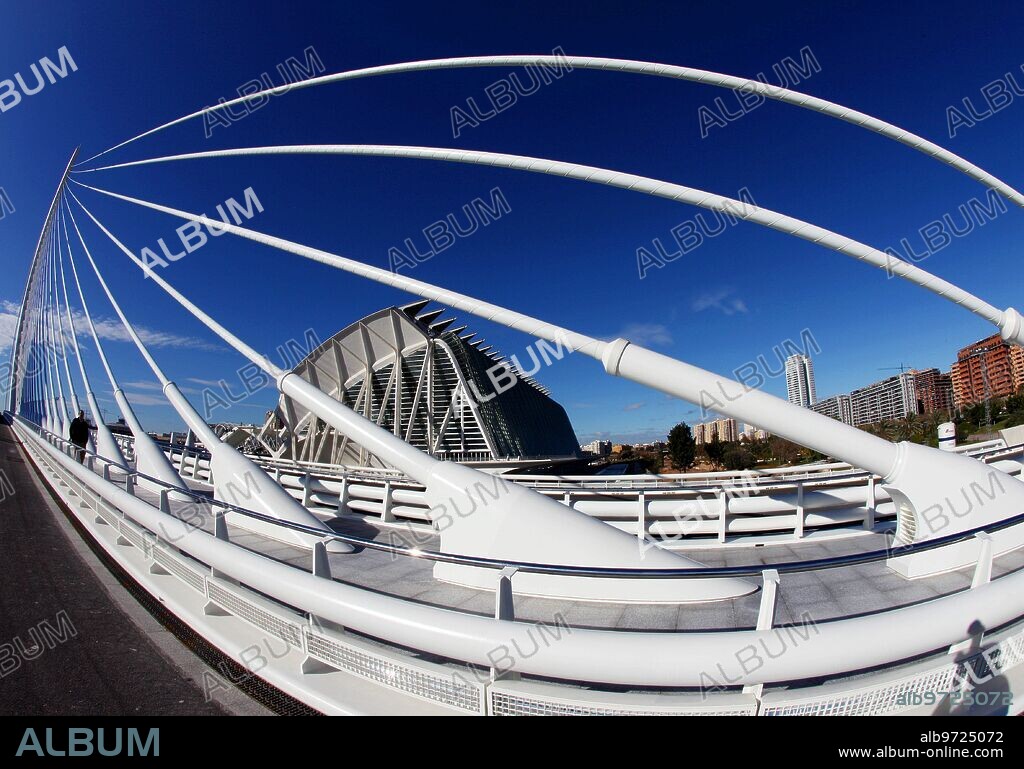 Valencia, 12/11/2008. Inauguration of the L'Assut de L'Or bridge. Photo: MIkel Ponce.