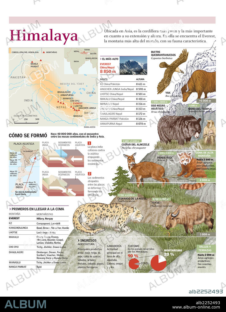 HIMALAYA. Infografía de la ubicación, formación y ecosistema de la cordillera del Himalaya y de las primeras expediciones en llegar a la cumbre.