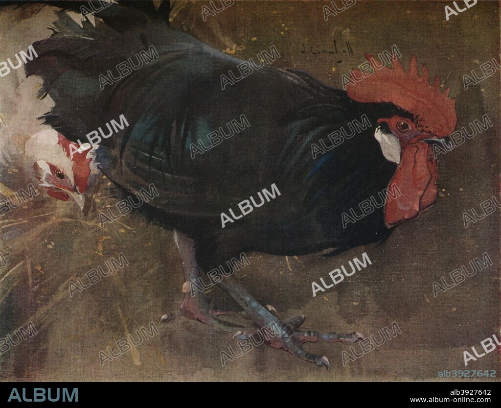 'The Black Cock', c1894. Painting held by Kelvingrove Art Gallery and Museum, Glasgow. From The Studio Volume 83. [London Offices of the Studio, London, 1922].