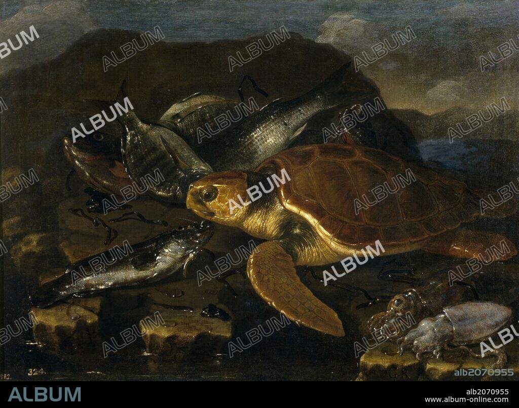 Giuseppe Recco / 'Still Life with Fish and a Tortoise', ca.  1680, Italian School, Oil on canvas, 75 cm x 91 cm, P00319.