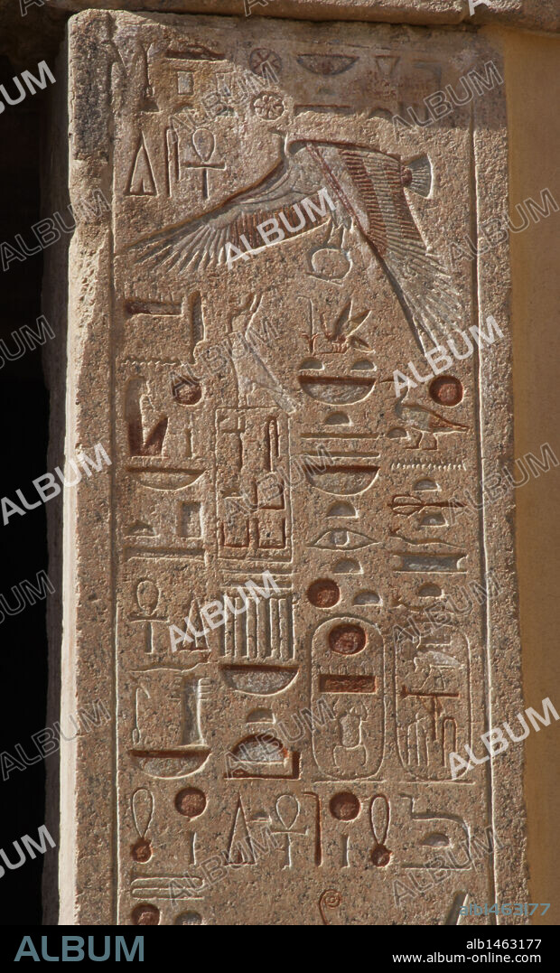 Hieroglyph on the walls of the Temple of Hatshepsut.  At the top is a vulture Nekhbet, opening its protective wings.18th Dynasty. New Kingdom. Deir el-Bahari. Egypt.