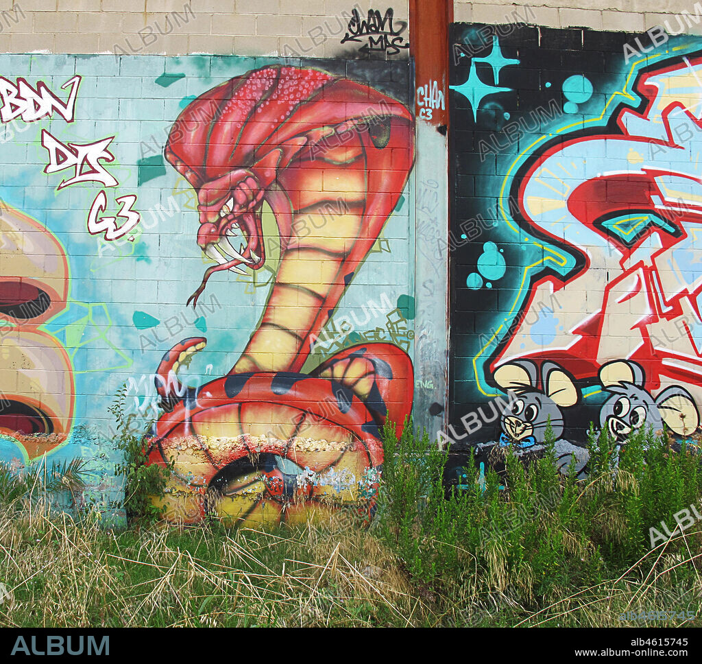 Caricatura de serpiente cobra enroscada con gesto de enojo, graffiti mural, Mataró, provincia Barcelona, Barcelona en 2013.