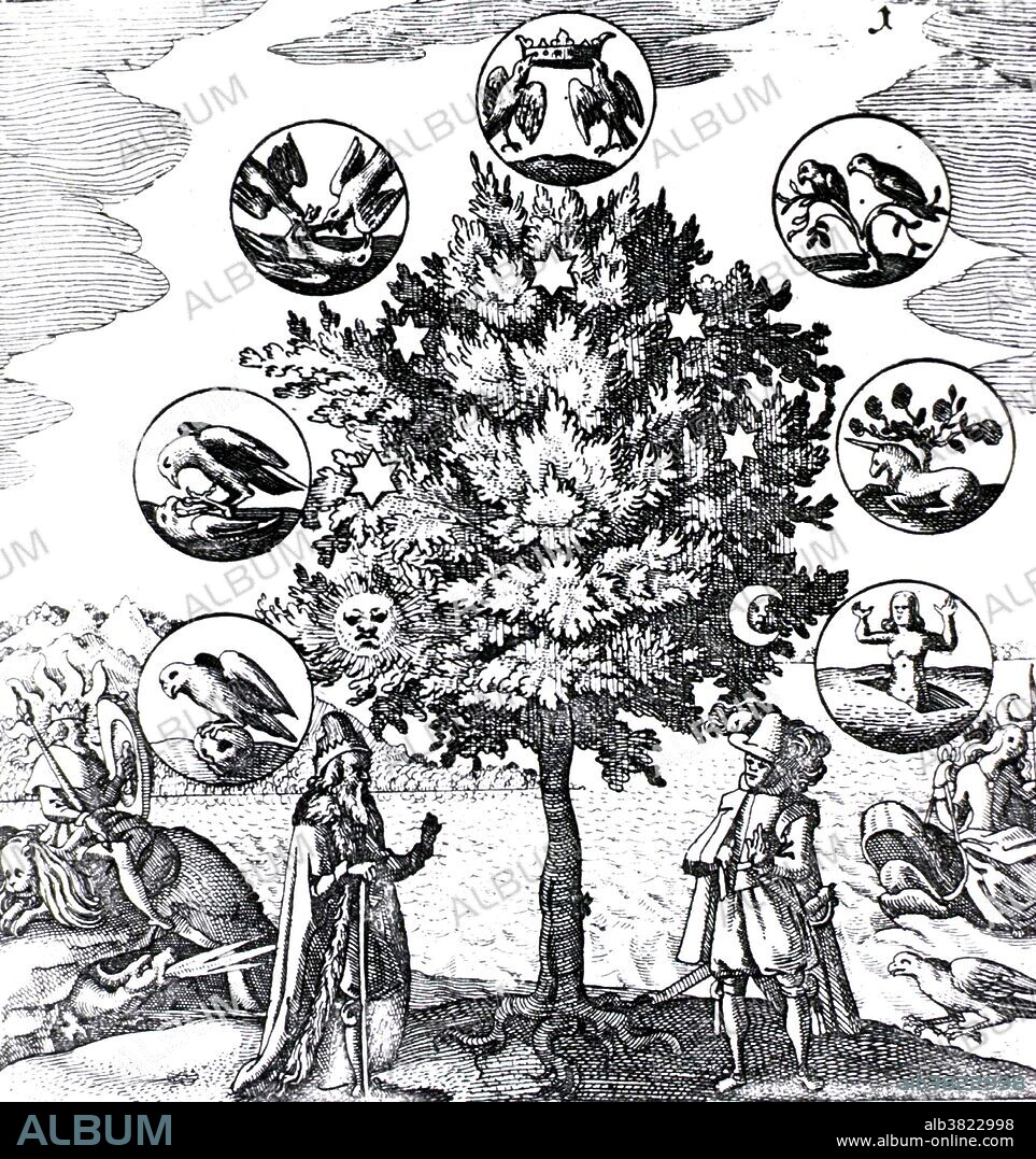 Via Veritatis, The Way of Truth, Tree of Life