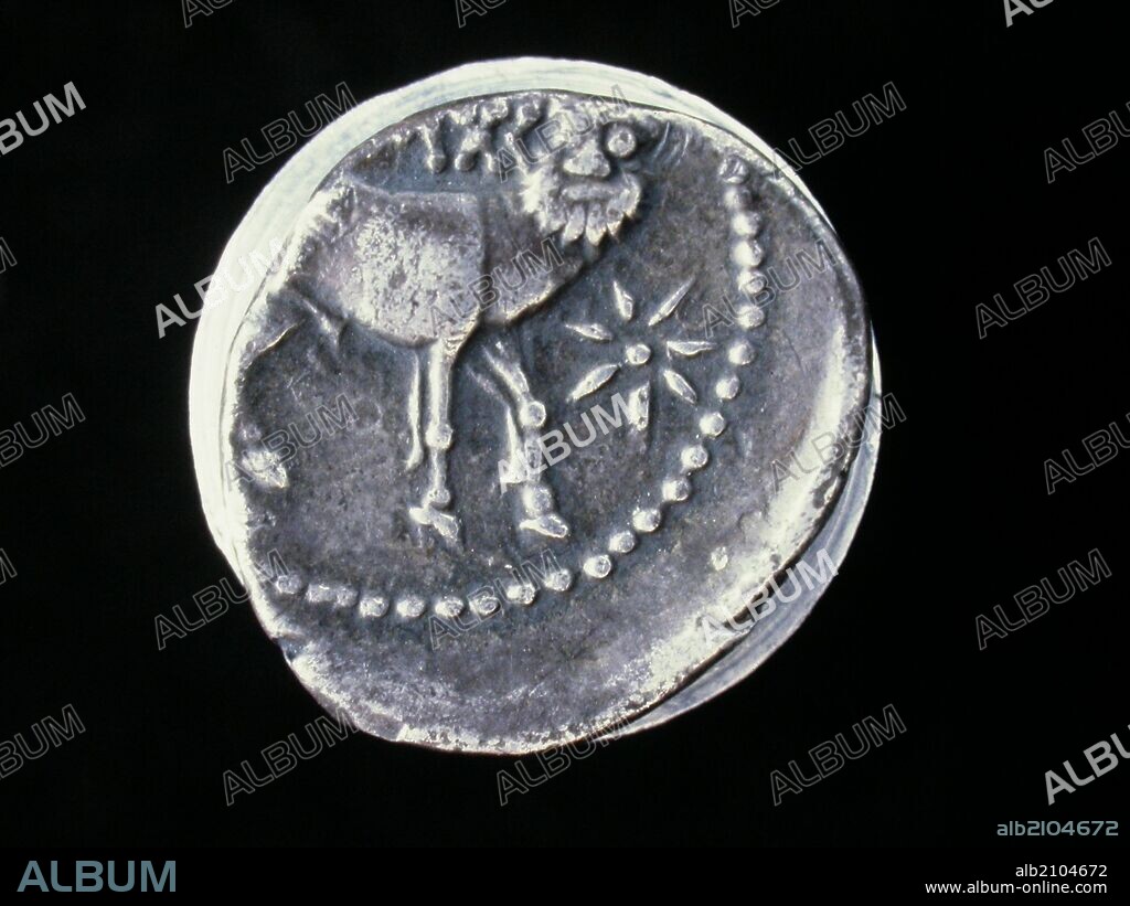 NUMISMATICA. MONEDA IBERICA. DRACMA DE PLATA. REVERSO. TORO ANDROCEFALO PARADO. DELANTE ESTRELLA. 219 A.C. (DEPOSITO: MUSEO ARQUEOLOGICO NACIONAL).