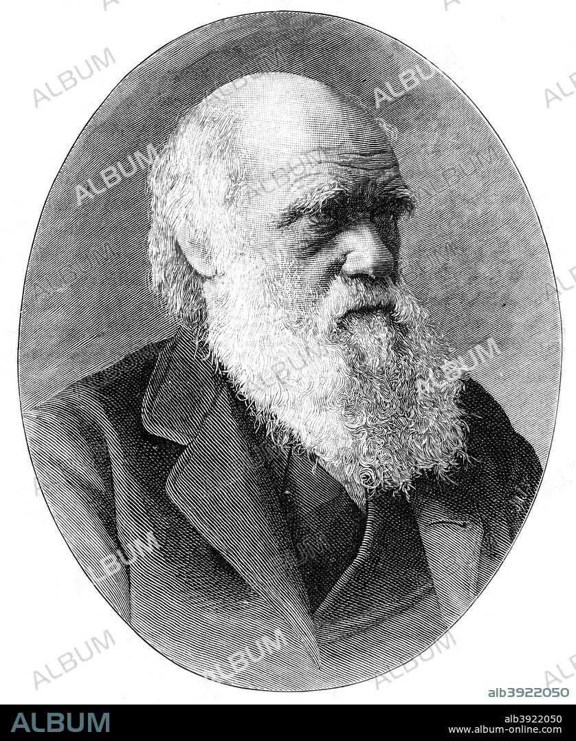 Charles Darwin, 19th century English naturalist, (1900). Darwin (1809-1882) started his career on board the HMS 'Beagle' and spent six years surveying the South American seas. He is remembered for his momentous contributions to biology and as the originator of the theory of evolution. His most famous work, The Origin of the Species by Means of Natural Selection, was published in 1859. A print from The Life and Times of Queen Victoria, by Robert Wilson, Volume IV, Cassell and Company, London, Paris, New York, Melbourne, 1900.