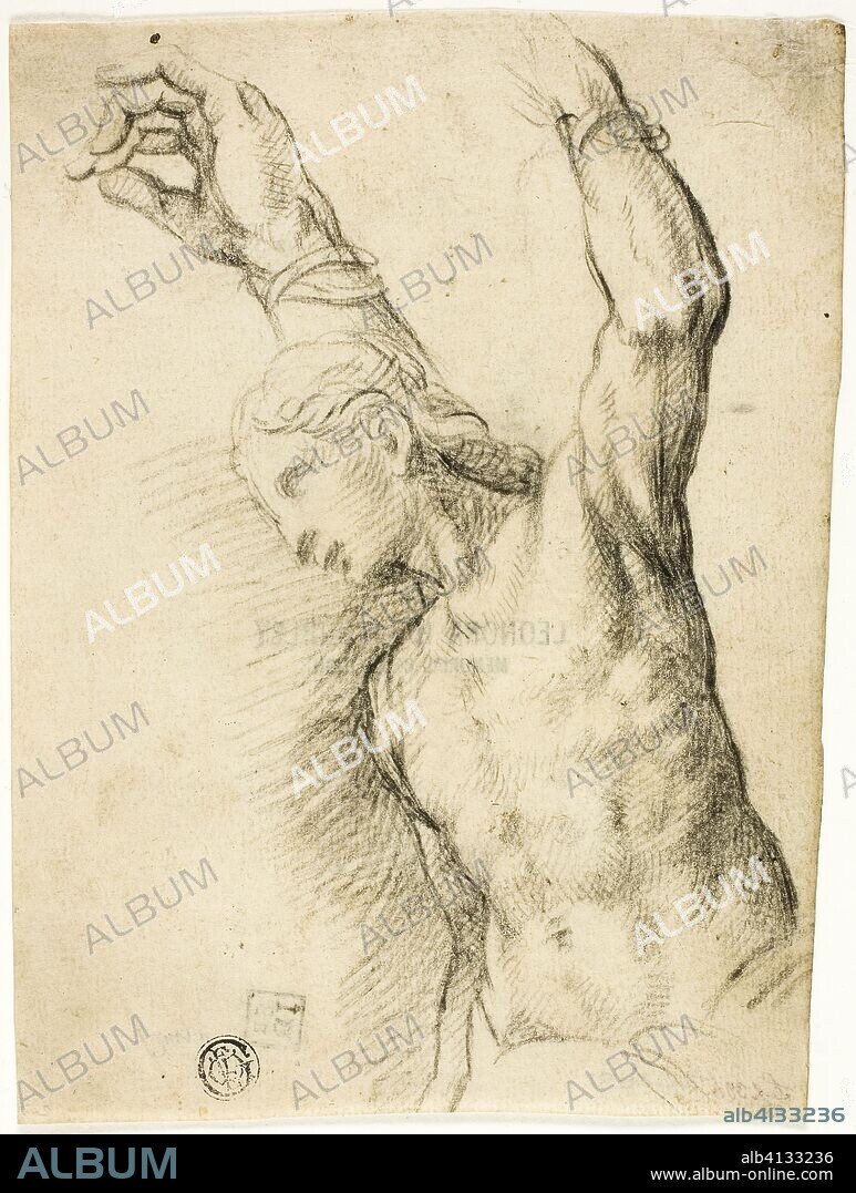 Saint Sebastian. Vincenzo Campi; Italian, 1530/35-1591. Date: 1580-1589. Dimensions: 172 × 130 mm. Black chalk on ivory laid paper. Origin: Italy.