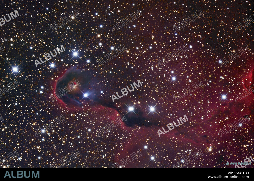 The Elephant Trunk Nebula, also known as IC 1396A, is a concentration of interstellar gas and dust in the IC 1396 star cluster and ionized gas region located in the Cepheus constellation.