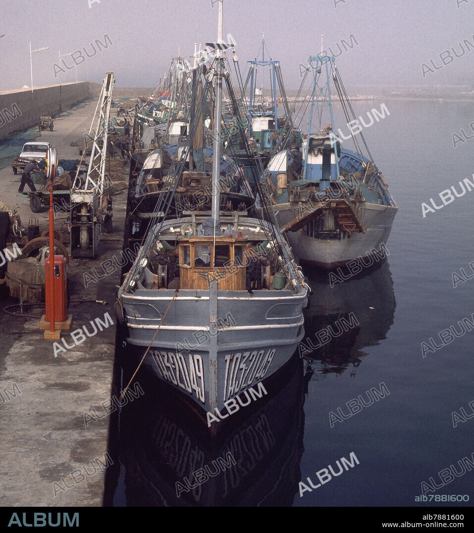 BARCOS PESQUEROS AMARRADOS A EL MUELL DEL PUERTO DE CAMBRILS - FOTO AÑOS 60.