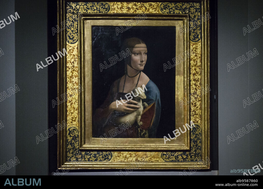 La dama del armiño (La dama con l'ermellino) cuadro del pintor renacentista italiano Leonardo da Vinci,l óleo sobre tabla, 54,8 cm. de alto y 40,3 cm de ancho ,periodo 1488-1490. Wawel, Cracovia,Polonia, eastern europe.