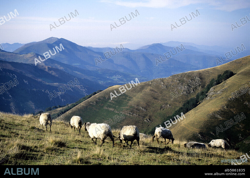Alto Ibañeta, cerca de..., vista hacia Francia y Valcarlos, Camino de Santiago.
