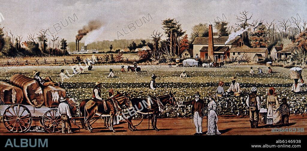 CULTIVO AGRICOLA - PLANTACION DE ALGODON CON ESCLAVOS DEL SUR EN LA CUENCA DEL MISSISSIPPI.