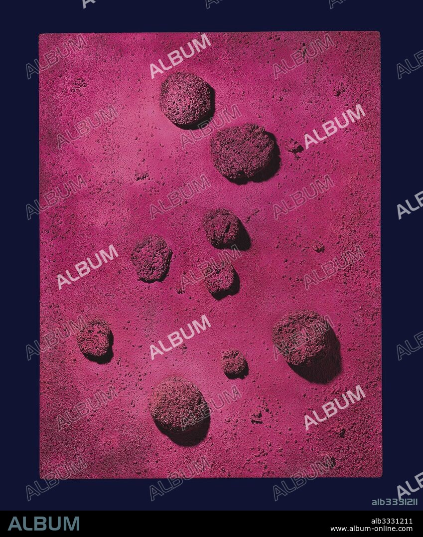 YVES KLEIN. Le Rose du, bleu.