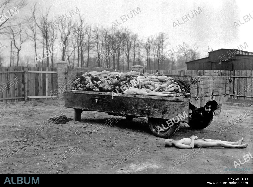 Buchenwald concentration camp. The Image shows dead bodies of those that were held captive as prisoners of war. Once the camps were liberated, allies transported the bodies away to have them cremated. Dated shortly after the end of the Second World War in 1945.