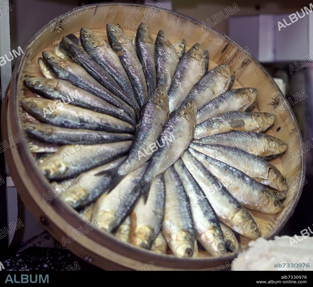 CAJA DE ARENQUES - ENCURTIDO DE SARDINAS EN SAL EN BARRICA DE MADERA.