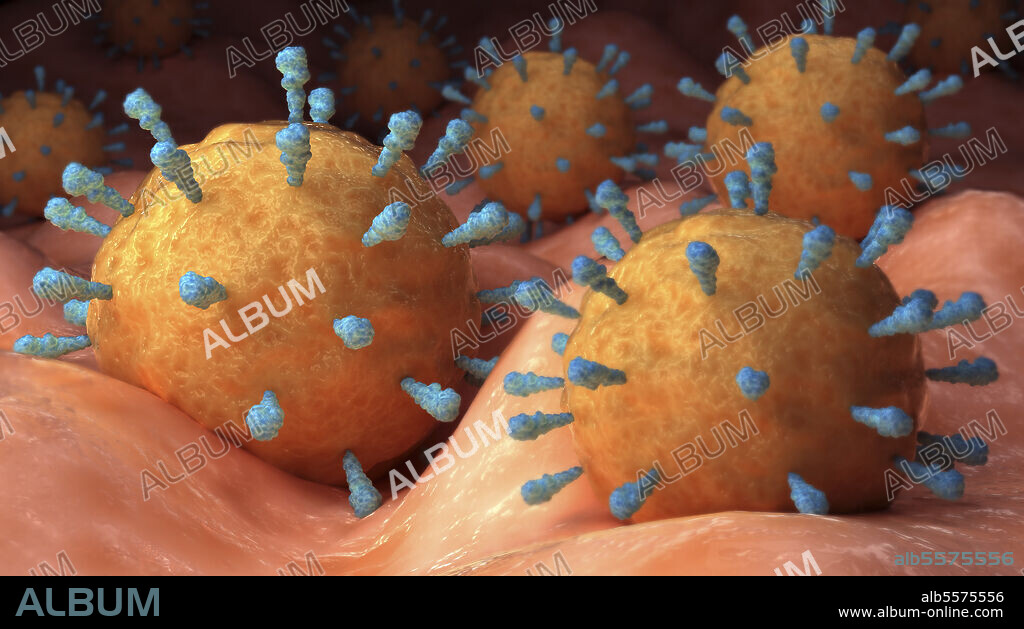 Conceptual biomedical illustration of rubeola measles virus on surface.