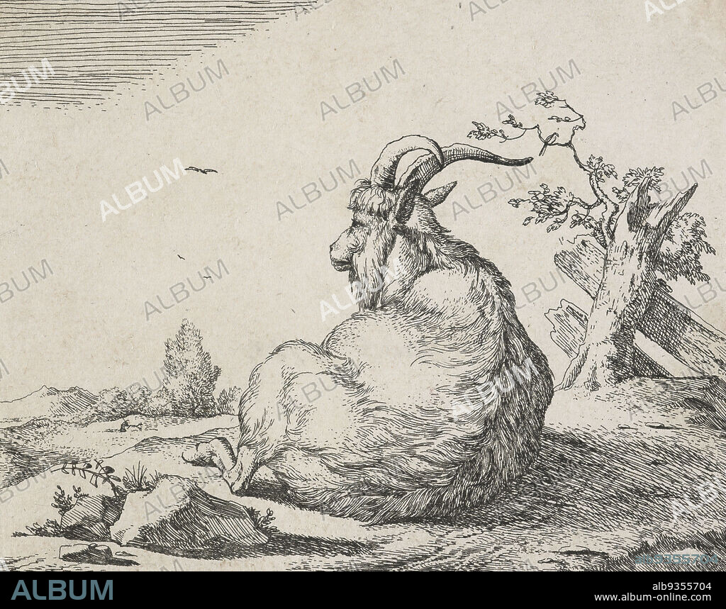 Goats: Plate 2: A goat resting., Marcus de Bye, etcher, Mid 17th century, Netherlands, etching, The Dutch printmaker Marcus de Bye (also de Bije/ de Bie) is little-known in relation to his talent and prolificness. He was born in The Hague in 1639 and died after 1688. He became a pupil of Jacob van der Does in 1658. Better known as an engraver and etcher than a painter, he engraved several series of animal studies after Paulus Potter and also produced a number of original engravings.