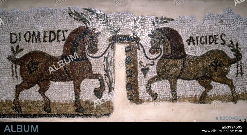 Roman Mosaic of Horse, Diomeder and Aicides, 2nd-3rd century. A Roman mosaic of two famous race horses called Diomedes and Aicides. Notice they are surrounded by the palm leaves of victory. At Bardo Museum, Tunis.