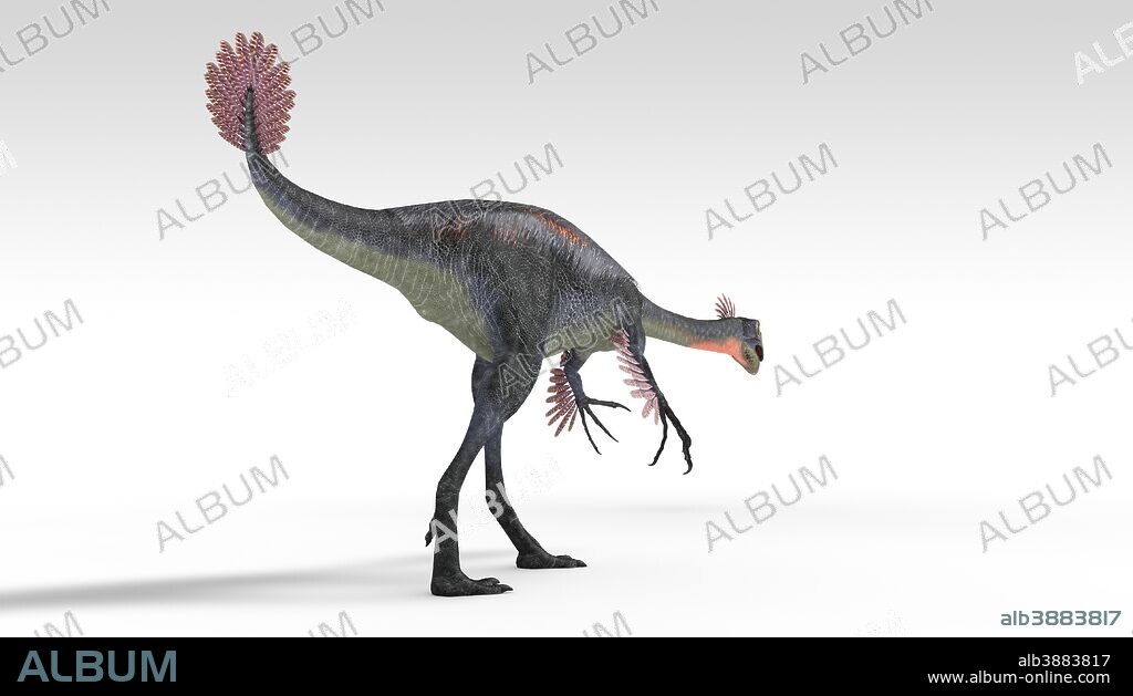 Gigantoraptor dinosaur, white background.