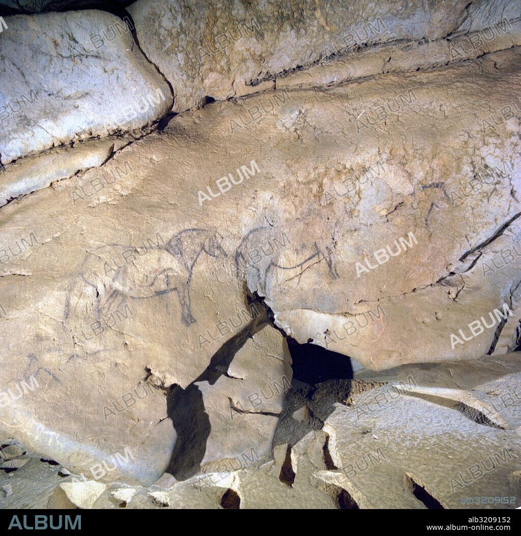 CUEVA DE EKAIN. GALERIA DE ZALDEI O DE LOS CABALLOS: VARIAS PINTURAS DE CABALLOS Y DETALLES.  DEVA, GUIPUZCOA, PAIS VASCO, ESPAÑA.