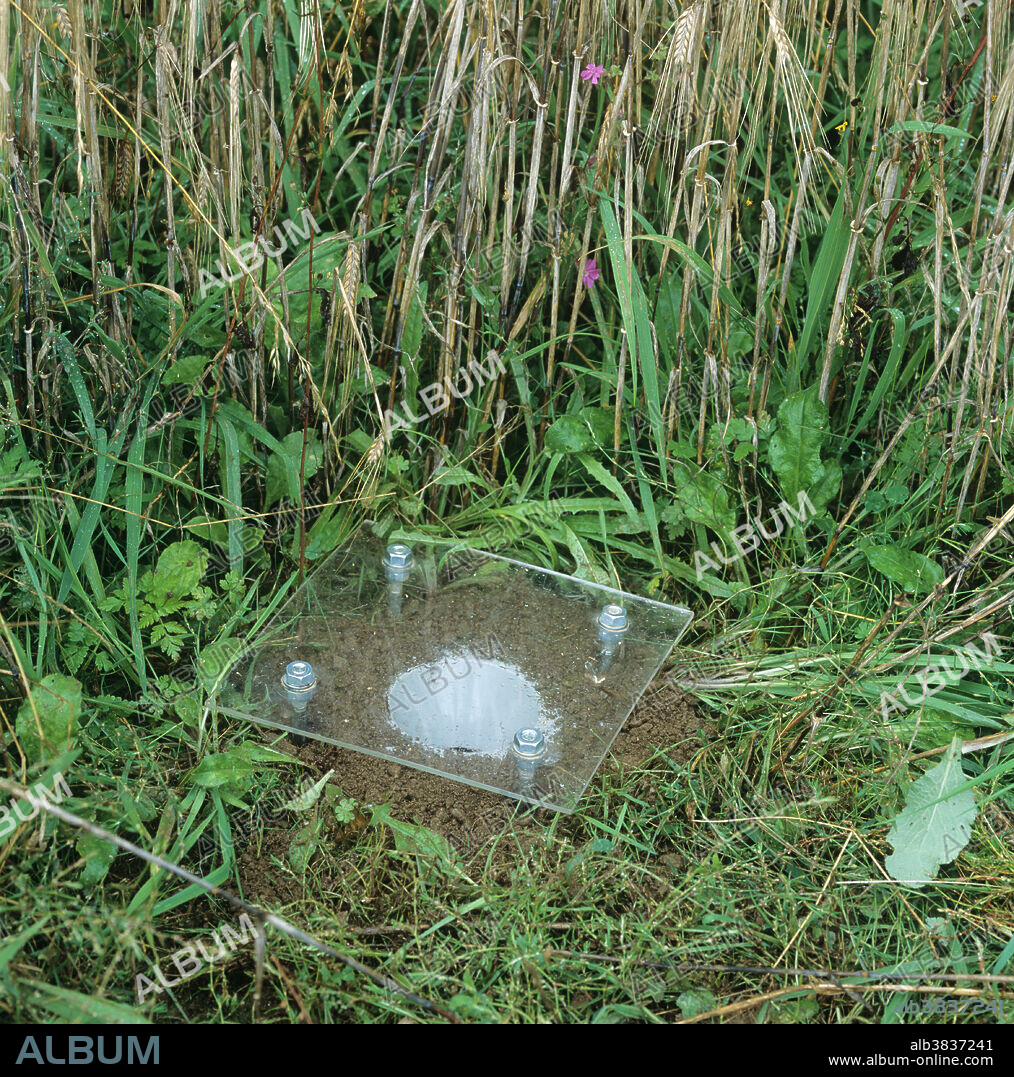 Pitfall trap with a rain cover for monitoring ground active arthropod populations.
