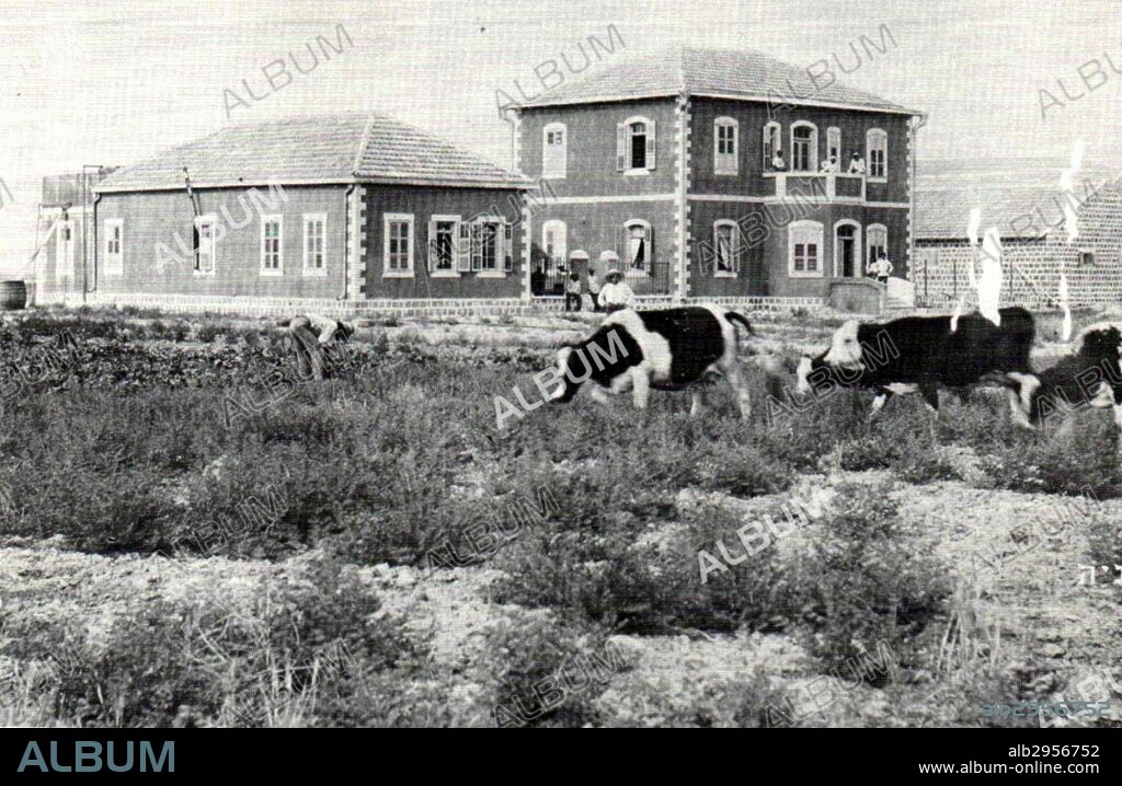 Photograph of the first houses in Degania Alef, a kibbutz in Northern Israel. Dated 1912.